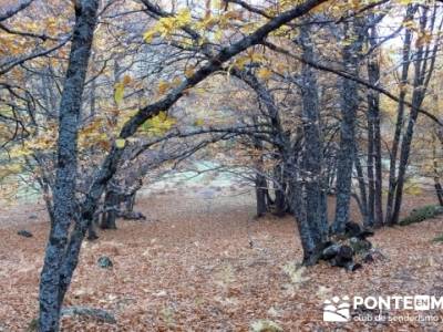 El Castañar de El Tiemblo, trekking en Castilla la Mancha; pozas de la pedriza